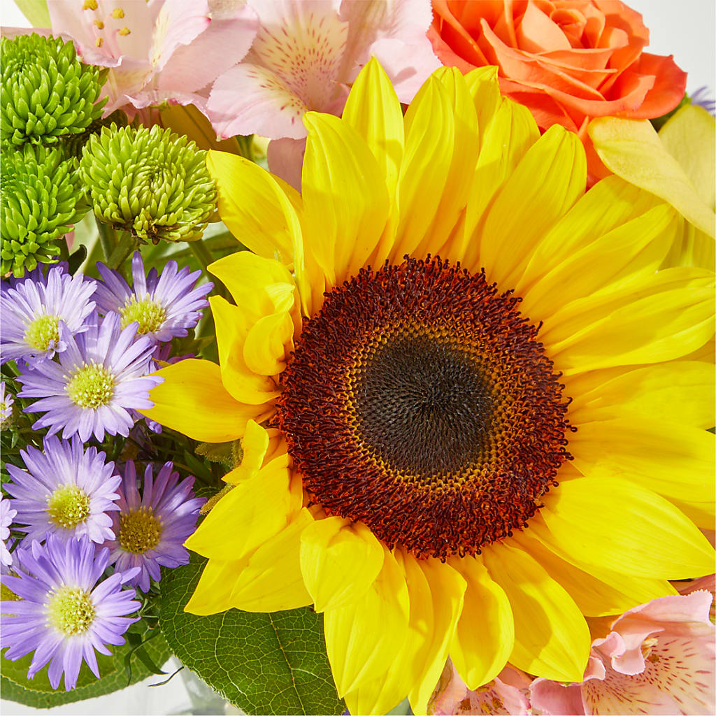 Basking in the Glow Bouquet –  Dillons, Hutchinson KS