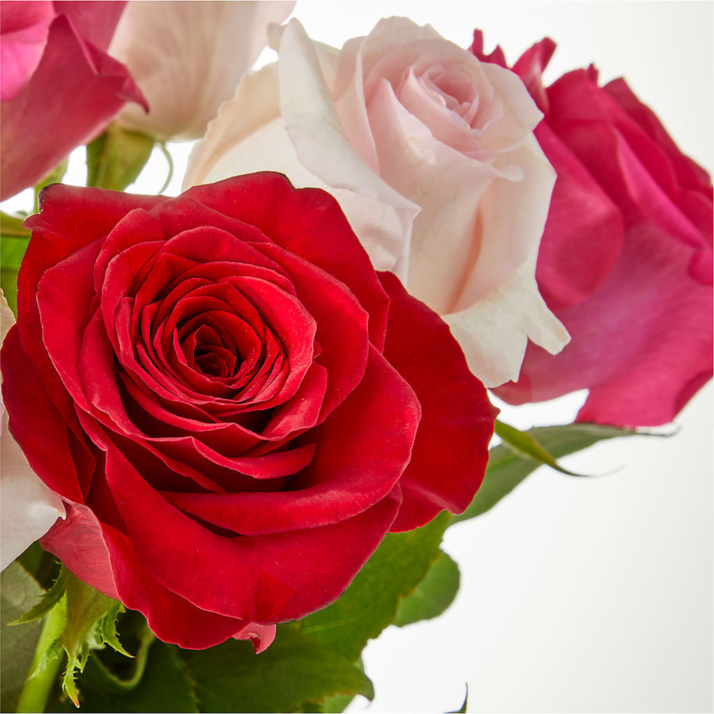 Charming Rose Bouquet –  Dillons, Hutchinson KS