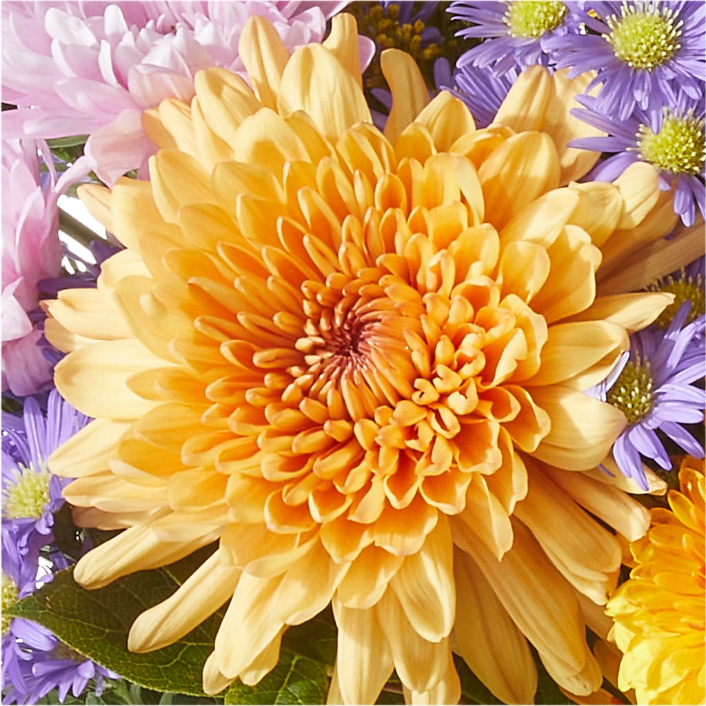Countryside Bouquet –  Dillons, Hutchinson KS