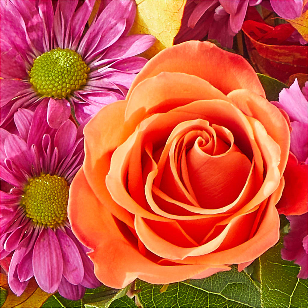Mum's the Word Bouquet –  Dillons, Hutchinson KS