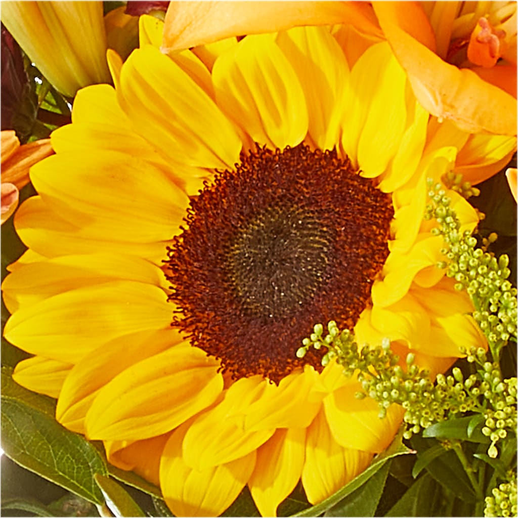 Seasons Change Bouquet –  Dillons, Hutchinson KS