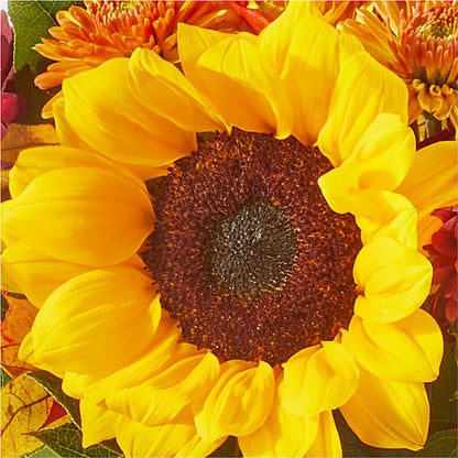 Sunny Side Bouquet –  Dillons, Hutchinson KS