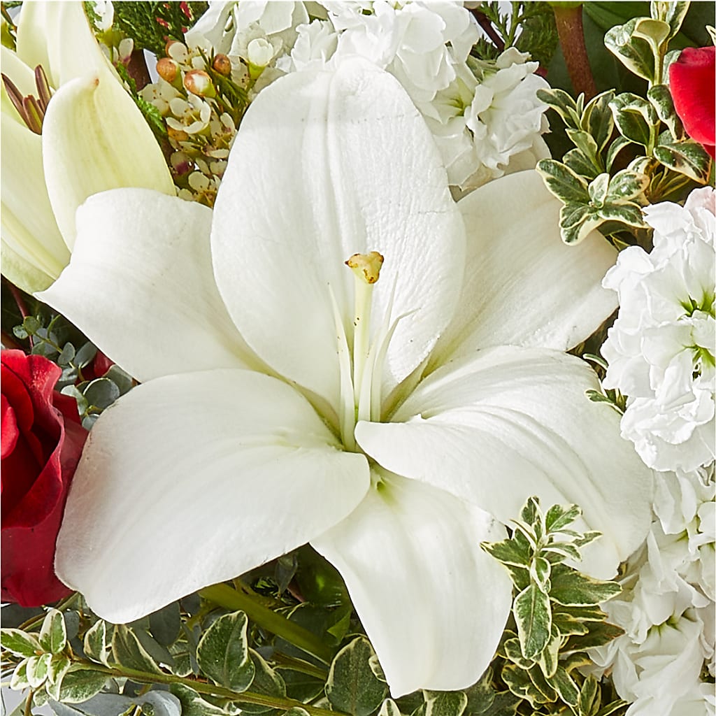 Twinkle Lights Bouquet –  Dillons, Hutchinson KS