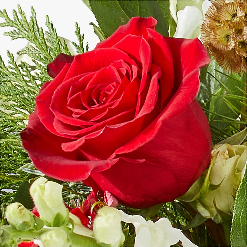 Deck the Halls Bouquet –  Dillons, Hutchinson KS