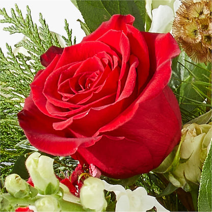 Deck the Halls Bouquet –  Dillons, Hutchinson KS