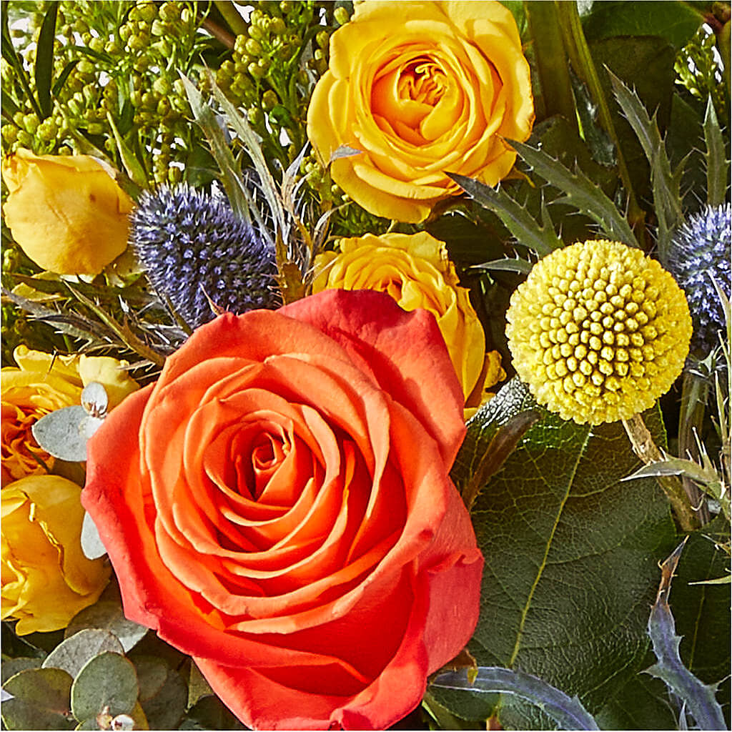 Disco Bouquet –  Dillons, Hutchinson KS
