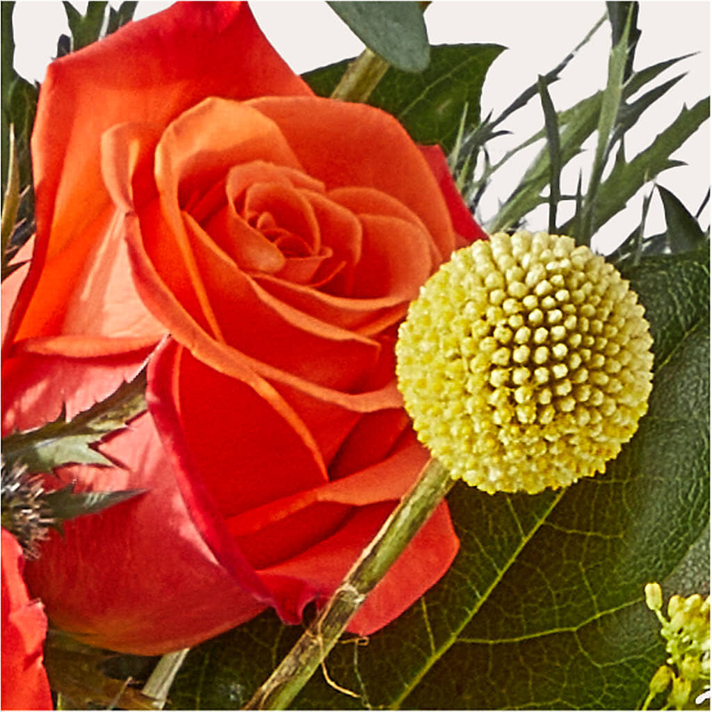 Disco Bouquet –  Dillons, Hutchinson KS