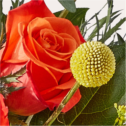 Disco Bouquet –  Dillons, Hutchinson KS