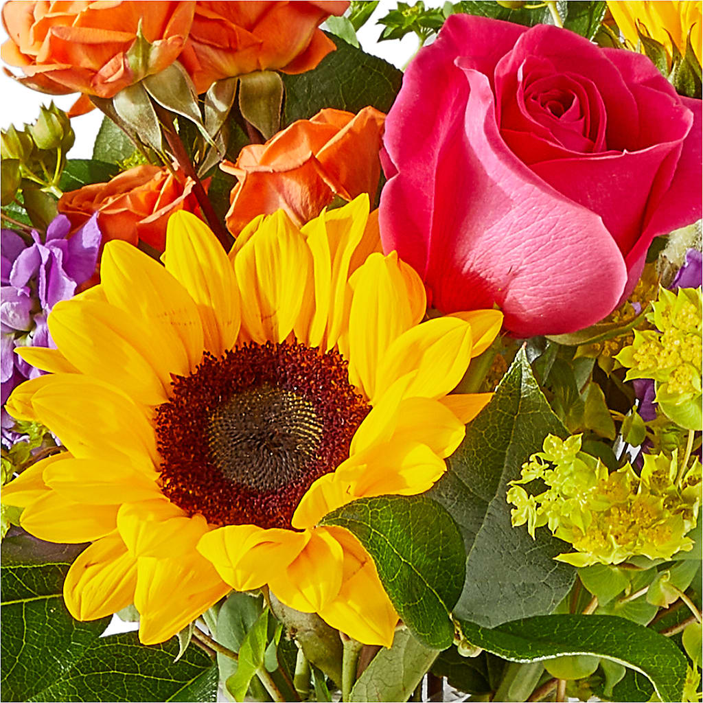 Vibrant Greetings Bouquet –  Dillons, Hutchinson KS