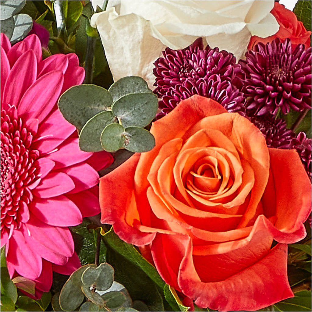 Smell the Roses Bouquet –  Dillons, Hutchinson KS