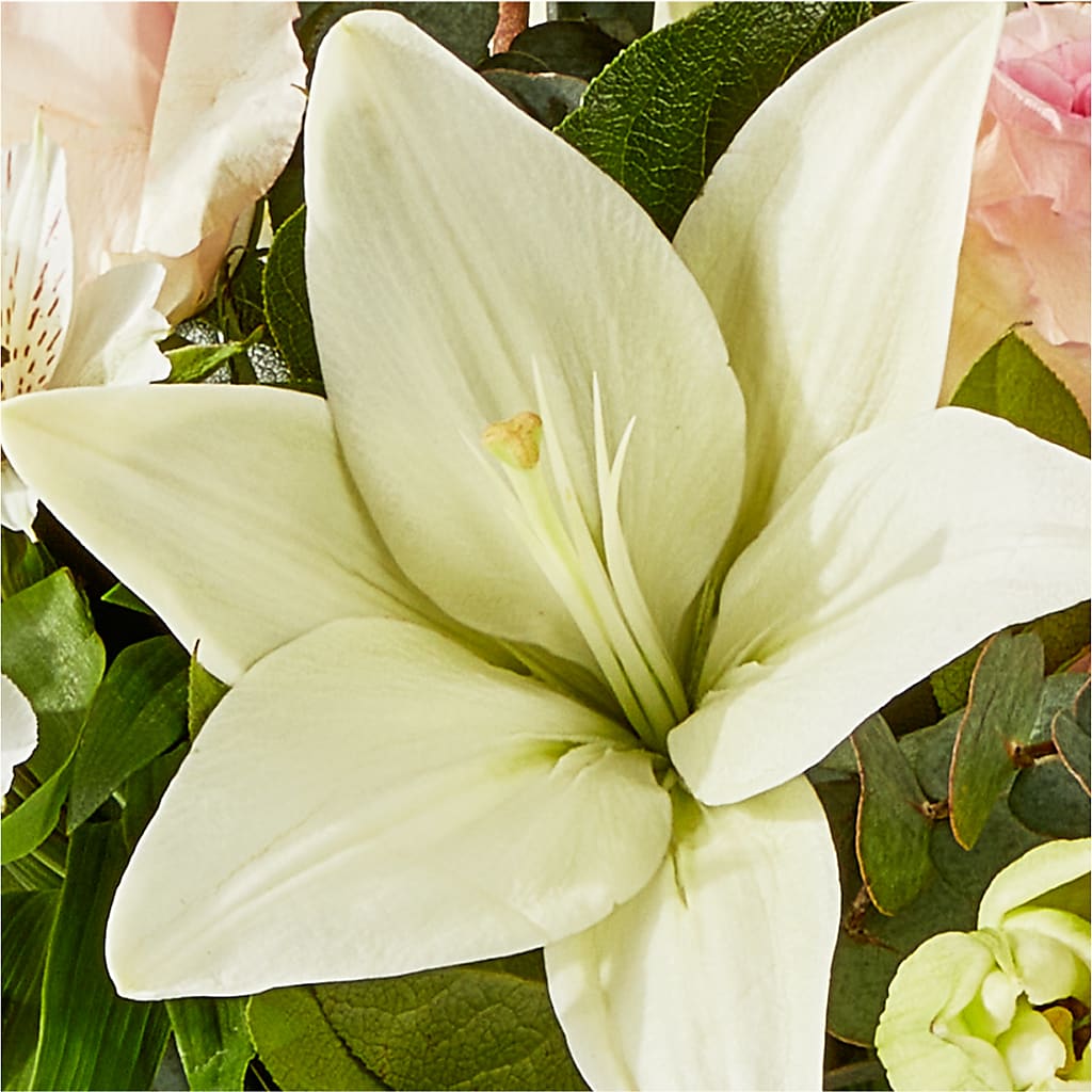 Ballet Slippers Bouquet –  Dillons, Hutchinson KS
