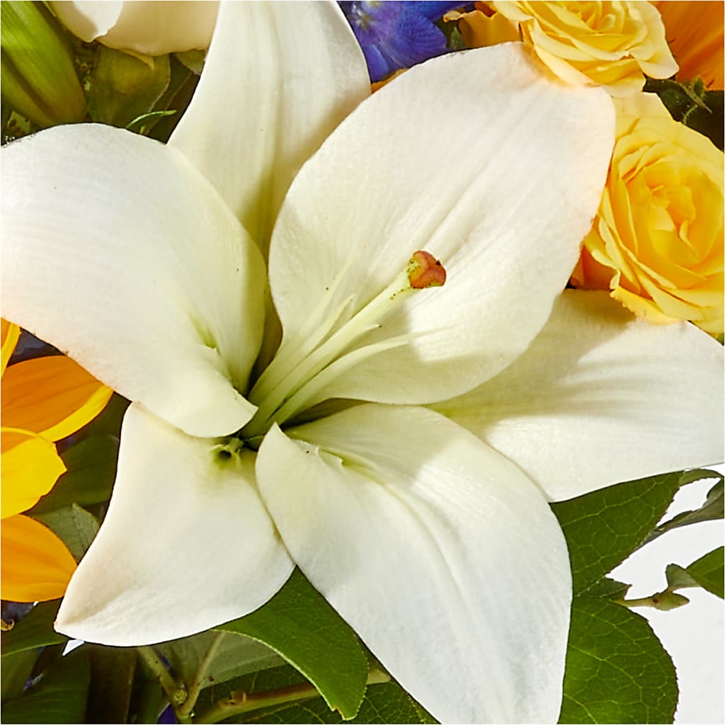 Wonderfully Sunny Bouquet –  Dillons, Hutchinson KS