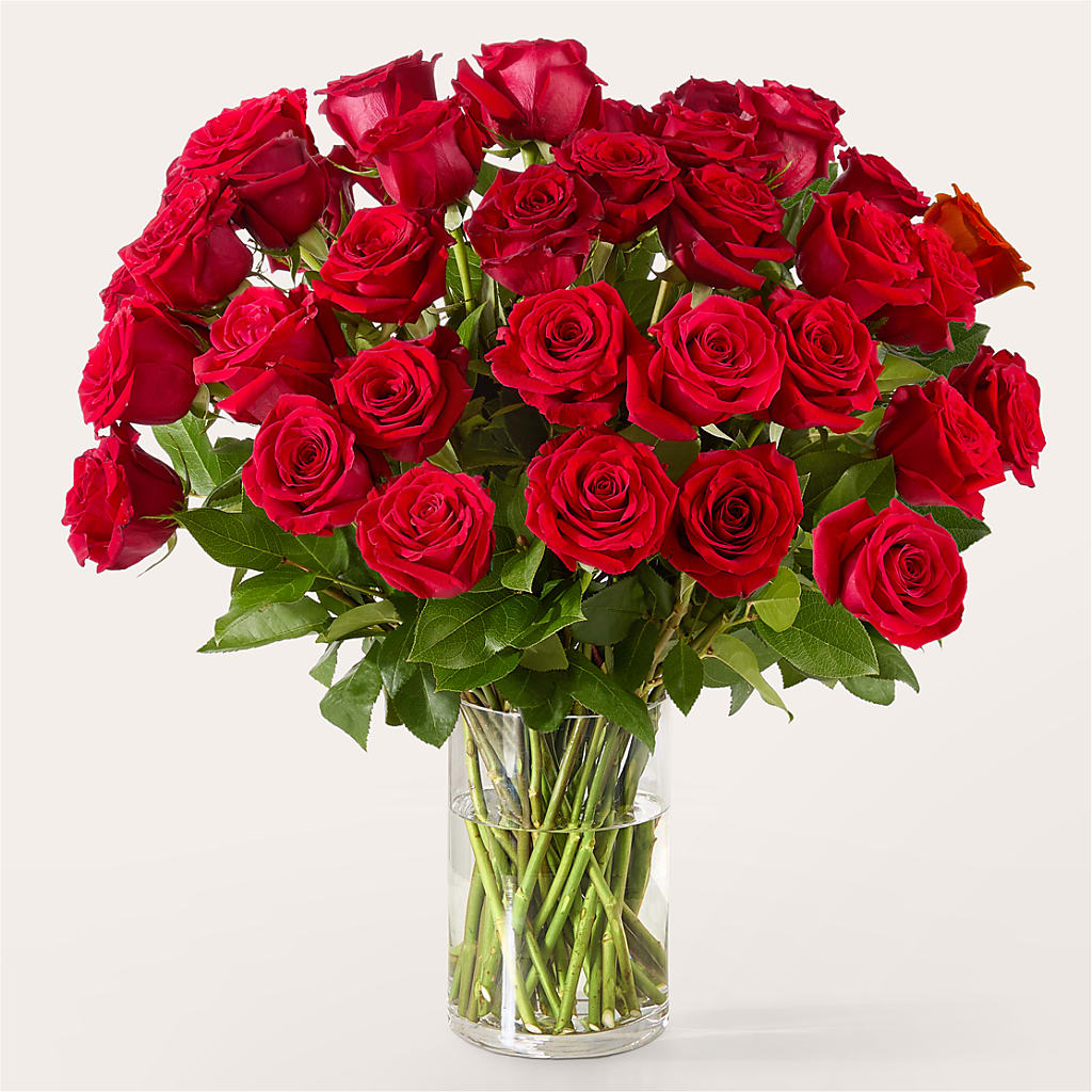 The One Red Rose Bouquet –  Dillons, Hutchinson KS
