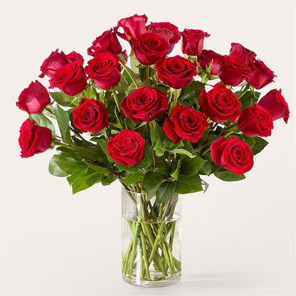 The One Red Rose Bouquet –  Dillons, Hutchinson KS