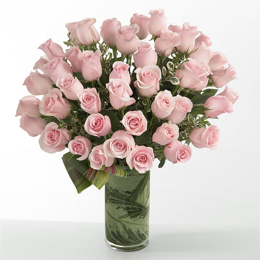 Pink Essence –  Dillons, Hutchinson KS
