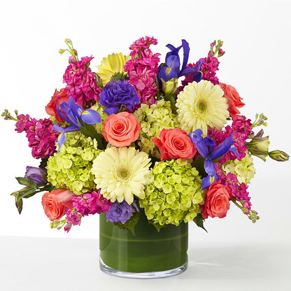 The Couture –  Dillons, Hutchinson KS